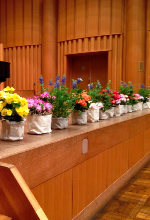 府中市ピアノ発表会の鉢花装飾