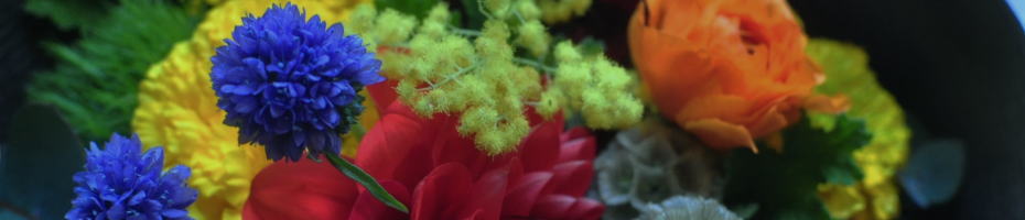 府中のサンタの花屋のリンク