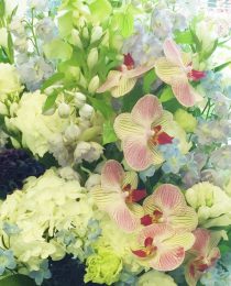 #ファレノ #ハイドランジア #デルフィニウム #phalaenopsis #flowerdesign #hydrangea